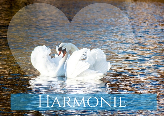 Harmonie